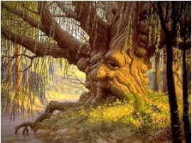 Les contes appartiennent à un arbre unique dont les racines ont puisé dans toutes les terres et à toutes les époques
